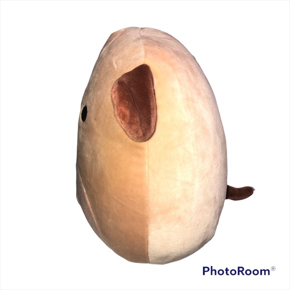 Squishmallow 8" Doug the Brown Dog W/ Eye Patch Stuffed Animal Plush Paw Prints - Picture 4 of 12